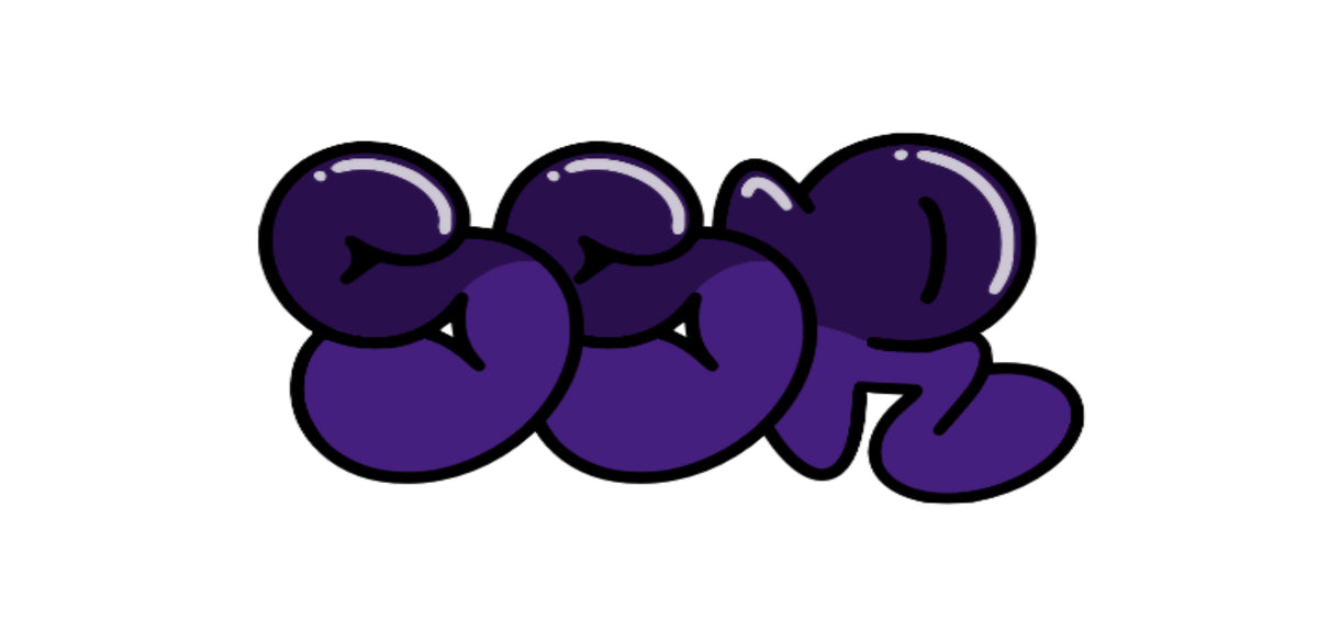 South Shore Rider
