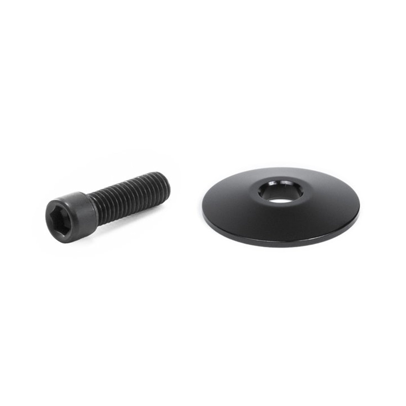 Tilt Washer and Compression Bolt (M8 screw)